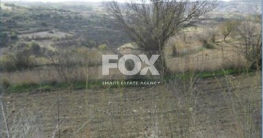 Land For Sale In Drymou Paphos Cyprus