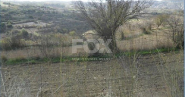 Land For Sale In Drymou Paphos Cyprus