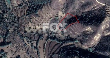 Land For Sale In Giolou Paphos Cyprus