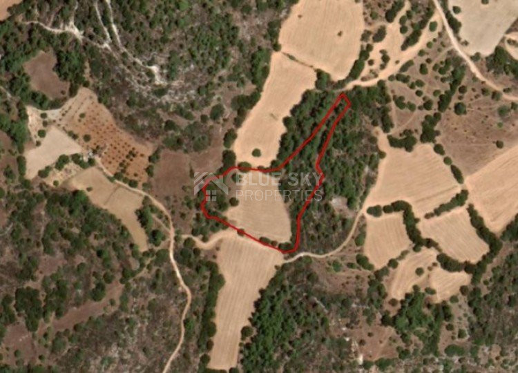 Land For Sale In Lysos Paphos Cyprus