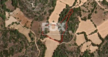 Land For Sale In Lysos Paphos Cyprus
