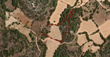 Land For Sale In Lysos Paphos Cyprus