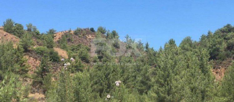 Land For Sale In Kato Platres Limassol Cyprus