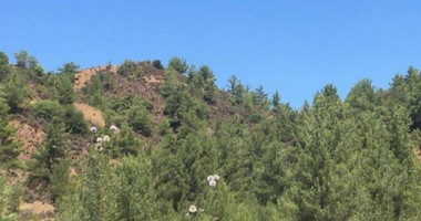 Land For Sale In Kato Platres Limassol Cyprus