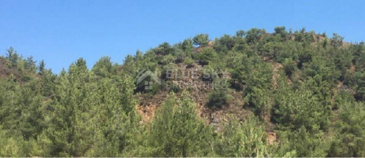 Land For Sale In Kato Platres Limassol Cyprus