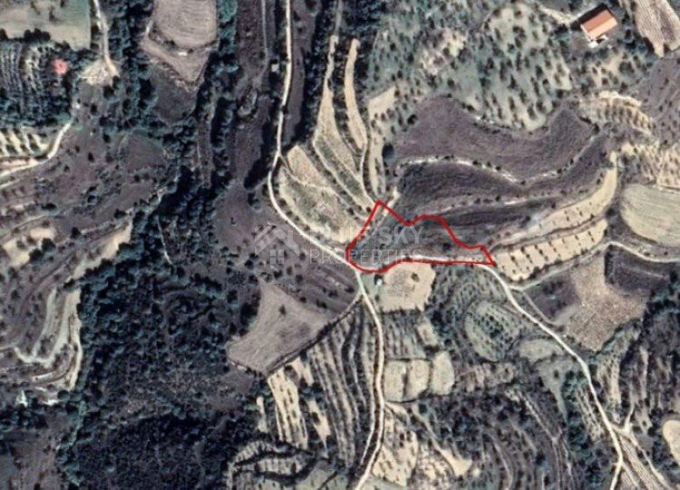 Plot For Sale In Kallepeia Paphos Cyprus