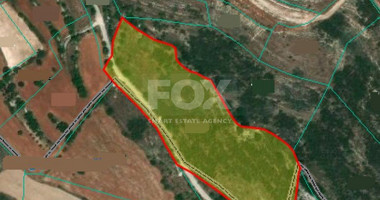 Land For Sale In Agia Varvara Paphos Cyprus