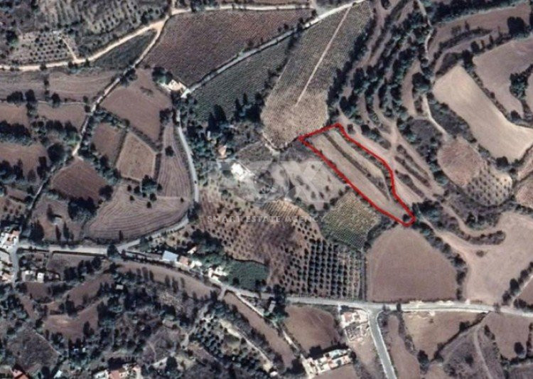 Plot For Sale In Fyti Paphos Cyprus