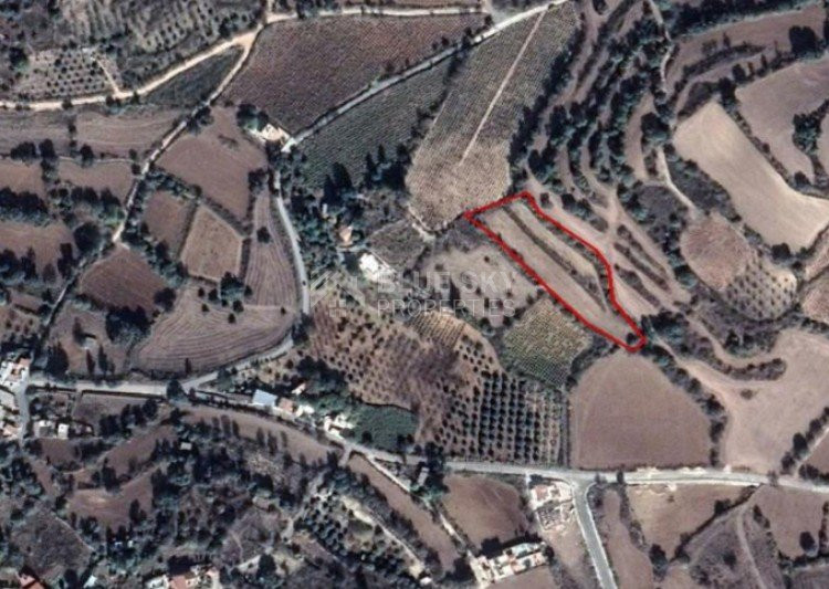 Plot For Sale In Fyti Paphos Cyprus