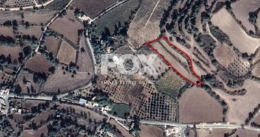 Plot For Sale In Fyti Paphos Cyprus