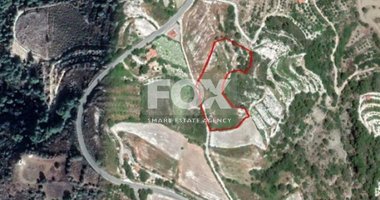Land For Sale In Pano Panagia Paphos Cyprus
