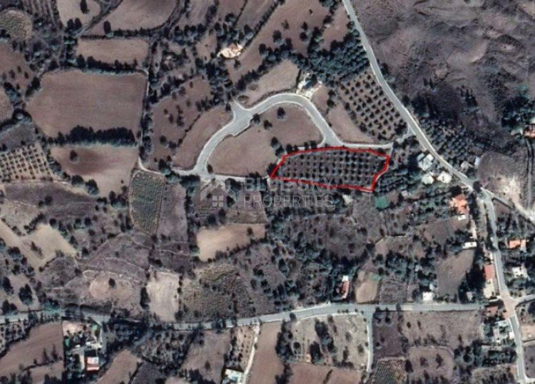 Plot For Sale In Lasa Paphos Cyprus