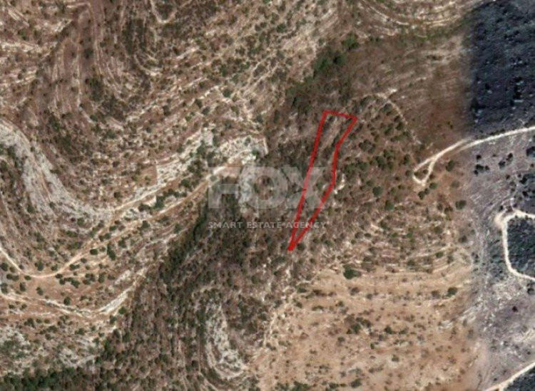 Land For Sale In Akoursos Paphos Cyprus