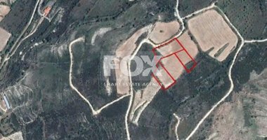 Land For Sale In Praitori Paphos Cyprus