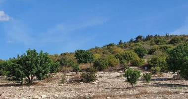 Plot For Sale In Koili Paphos Cyprus