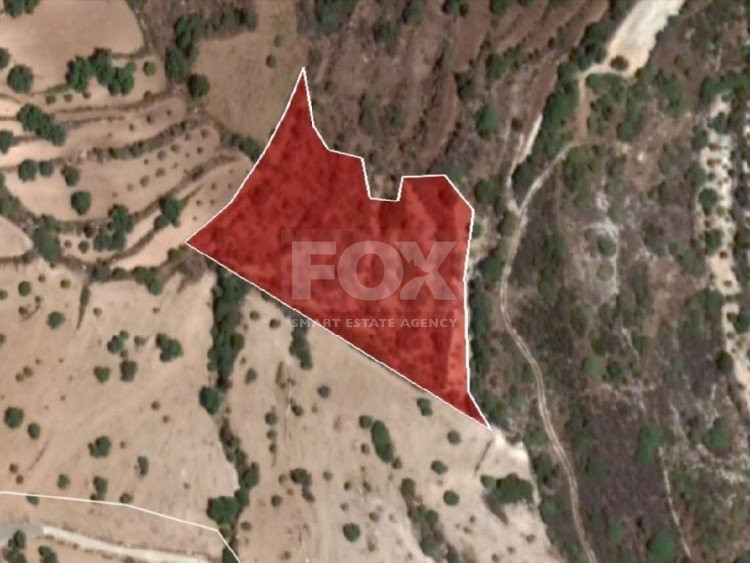 Plot For Sale In Koili Paphos Cyprus