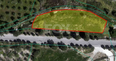 Land For Sale In Nata Paphos Cyprus