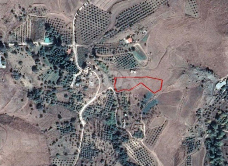 Land For Sale In Kannaviou Paphos Cyprus
