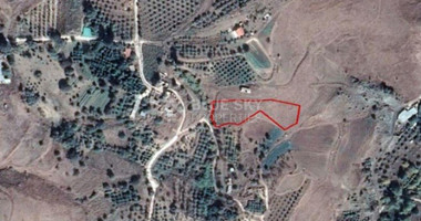 Land For Sale In Kannaviou Paphos Cyprus