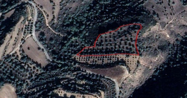 Land For Sale In Loukrounou Paphos Cyprus