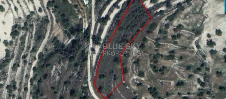 Land For Sale In Paramytha Limassol Cyprus