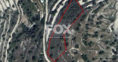 Land For Sale In Paramytha Limassol Cyprus