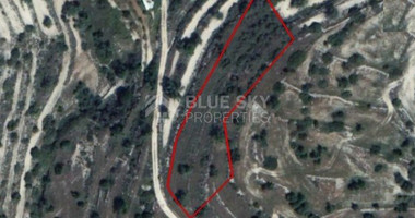 Land For Sale In Paramytha Limassol Cyprus