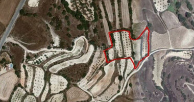 Land For Sale In Kallepeia Paphos Cyprus