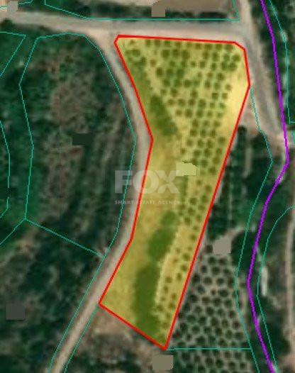 Land For Sale In Prodromi Paphos Cyprus