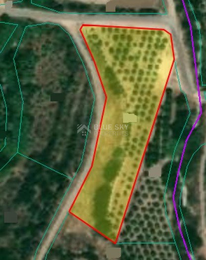 Land For Sale In Prodromi Paphos Cyprus