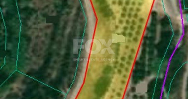 Land For Sale In Prodromi Paphos Cyprus