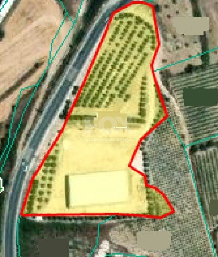 Land For Sale In Theletra Paphos Cyprus