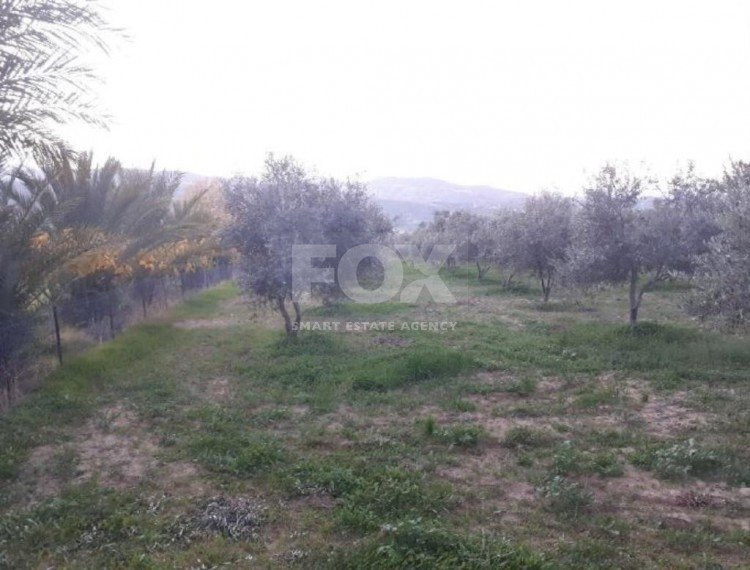 Land For Sale In Goudi Paphos Cyprus