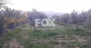 Land For Sale In Goudi Paphos Cyprus