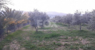 Land For Sale In Goudi Paphos Cyprus