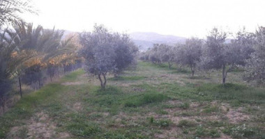 Land For Sale In Goudi Paphos Cyprus