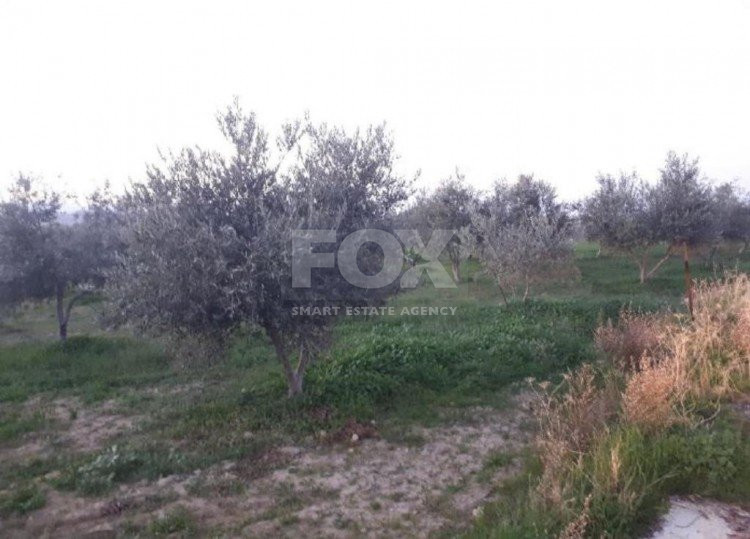 Land For Sale In Goudi Paphos Cyprus