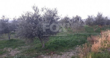 Land For Sale In Goudi Paphos Cyprus