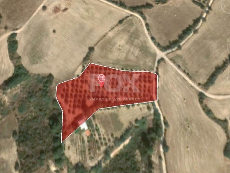 Land For Sale In Goudi Paphos Cyprus