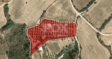 Land For Sale In Goudi Paphos Cyprus