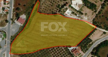 Land For Sale In Mesogi Paphos Cyprus