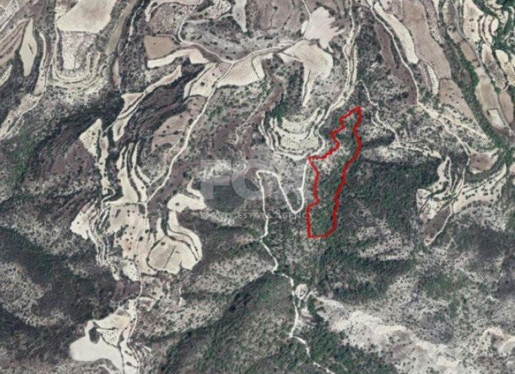 Land For Sale In Amargeti Paphos Cyprus