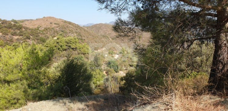 Land For Sale In Sanida Limassol Cyprus