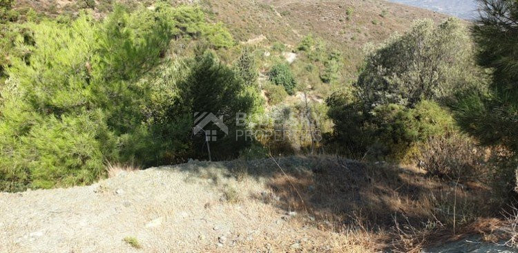 Land For Sale In Sanida Limassol Cyprus