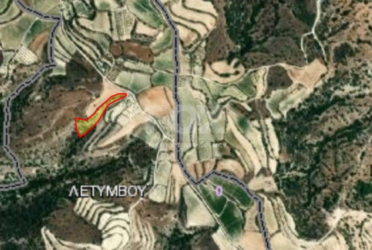 Land For Sale In Letymvou Paphos Cyprus