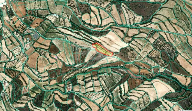 Land For Sale In Letymvou Paphos Cyprus