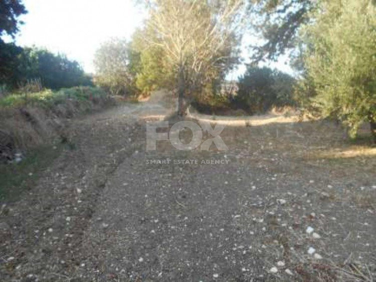 Land For Sale In Armou Paphos Cyprus