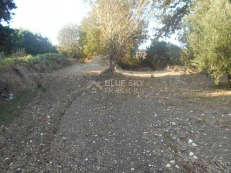 Land For Sale In Armou Paphos Cyprus