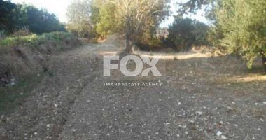 Land For Sale In Armou Paphos Cyprus