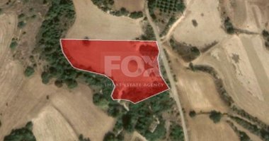 Land For Sale In Polis Chrysochou Paphos Cyprus